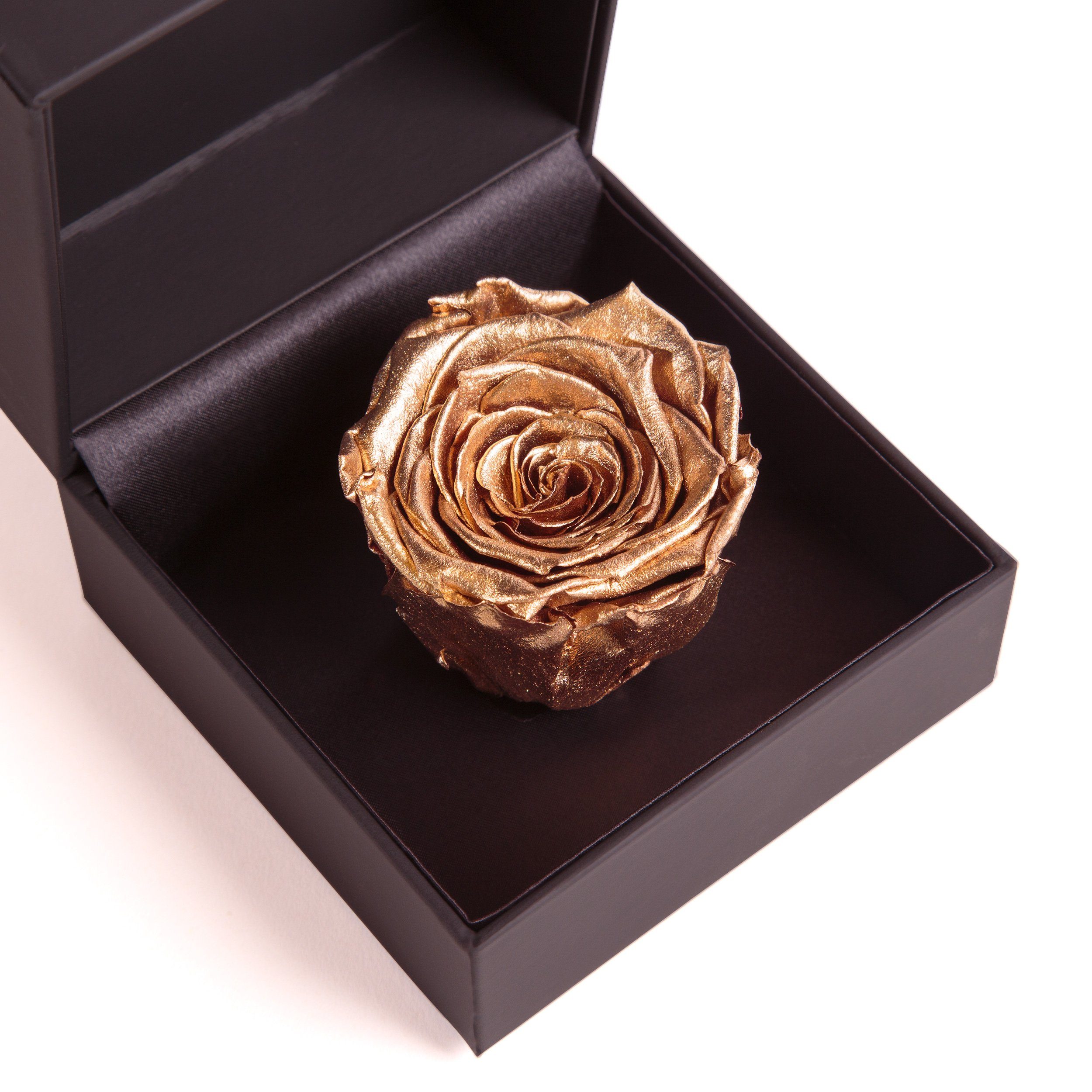 cm, Rose, Box Infinity Ringbox Gold SCHULZ Rose Rose konserviert Kunstblume Rosenbox Ringdose in Langlebige Heidelberg, 9 ROSEMARIE Groß Höhe