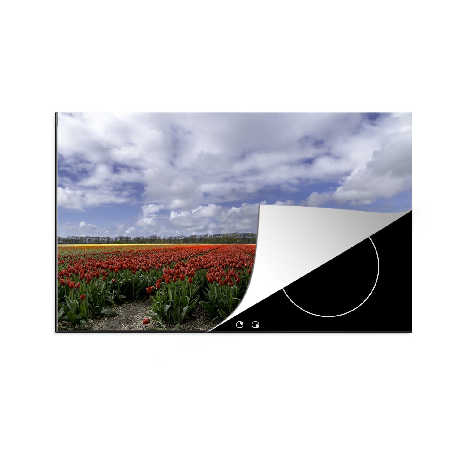 MuchoWow Herdblende-/Abdeckplatte Rote Tulpen auf dem Keukenhof in Südholland, Vinyl, (1 tlg), 81x52 cm, Induktionskochfeld Schutz für die küche, Ceranfeldabdeckung