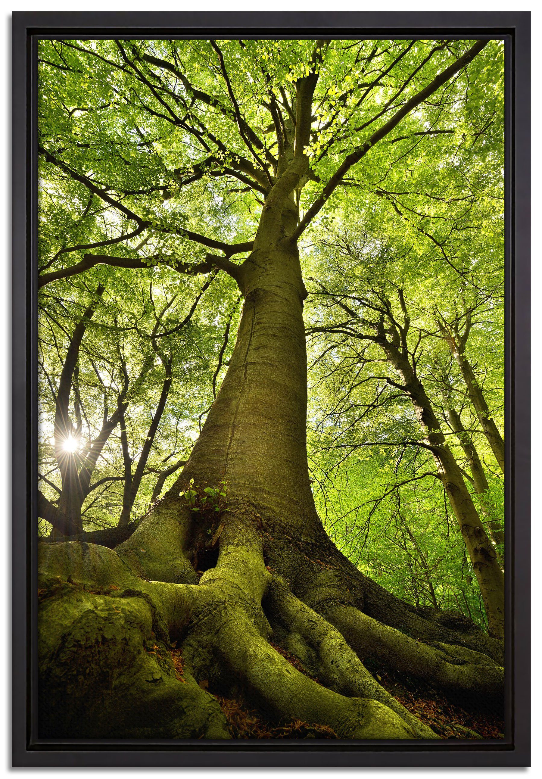 fertig Baum inkl. Wanddekoration St), einem Leinwandbild in im Leinwandbild Pixxprint Zackenaufhänger bespannt, Schattenfugen-Bilderrahmen Dschungel, gefasst, (1 Riesiger