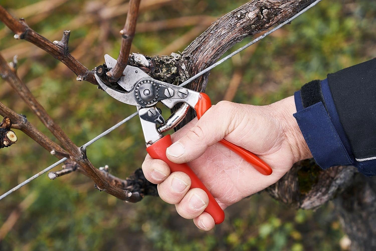 FELCO Gartenschere Nr. 15 Rollgriff Rechtshänder für kleine Hände