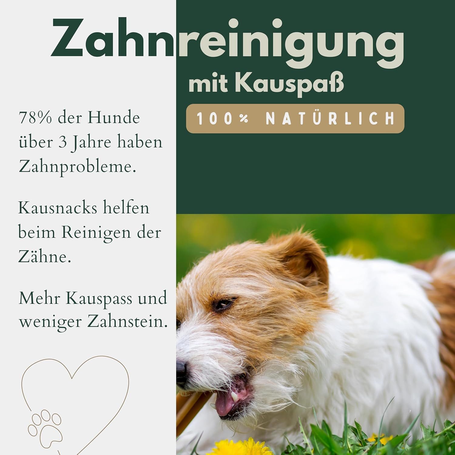 Breers Pet Food Schweineohren getrocknet 10 Stück Kausnack Hundeleckerlie, Einzelfuttermittel für: Hunde, Harter Kauartikel, Leckerli getreidefrei, Hundesnack zuckerfrei