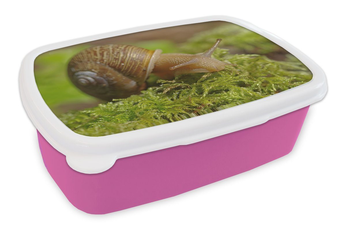 MuchoWow Lunchbox auf Erwachsene, Kunststoff, Schnecke rosa Brotbox Snackbox, Moos, Kunststoff Mädchen, Brotdose für Kinder, (2-tlg)