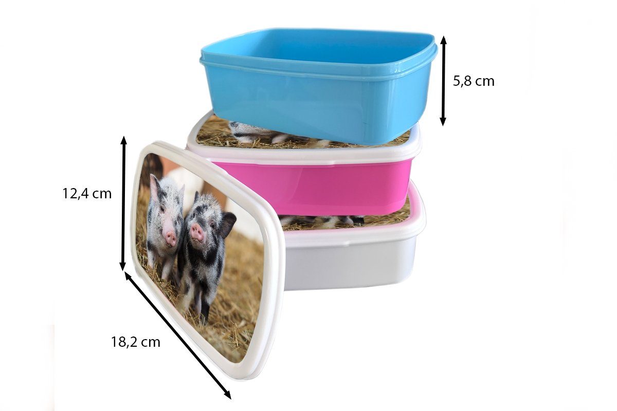 - weiß für Kunststoff, Mädchen und (2-tlg), Schwein Lunchbox Jungs Brotdose, Brotbox MuchoWow für Tiere Erwachsene, Ferkel, Kinder und -