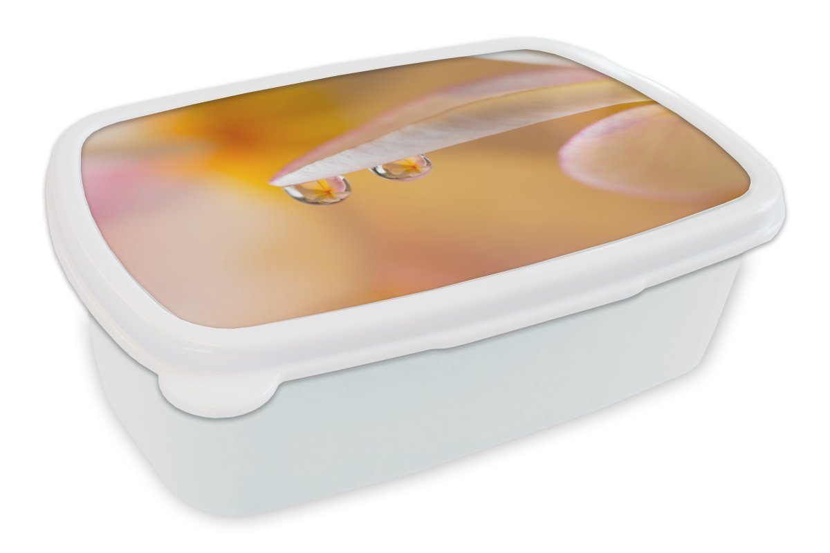 MuchoWow Lunchbox Nahaufnahme von Wassertropfen auf einer Plumeria, Kunststoff, (2-tlg), Brotbox für Kinder und Erwachsene, Brotdose, für Jungs und Mädchen weiß