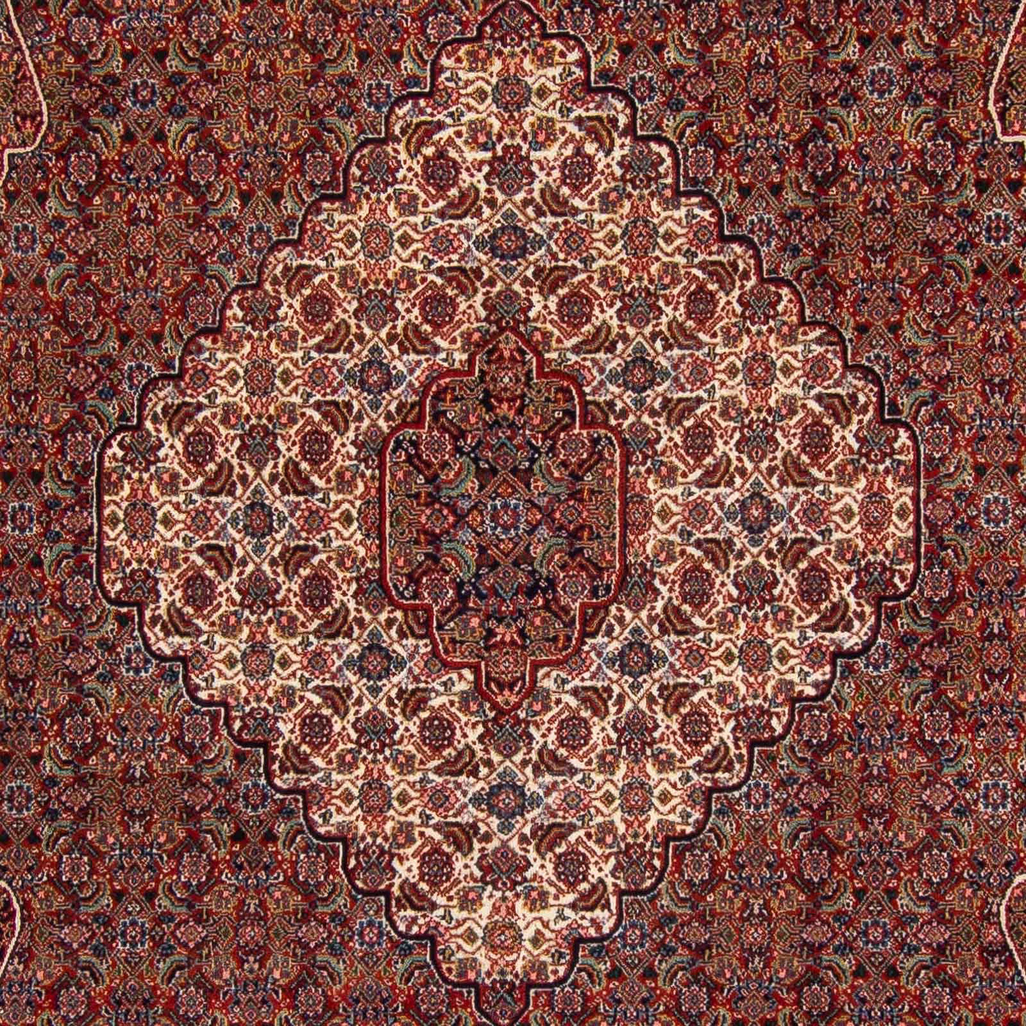 Orientteppich Perser dunkelrot, x Höhe: 323 - Handgeknüpft, 10 - 256 rechteckig, cm morgenland, mm, mit Nain Zertifikat - Wohnzimmer, Einzelstück