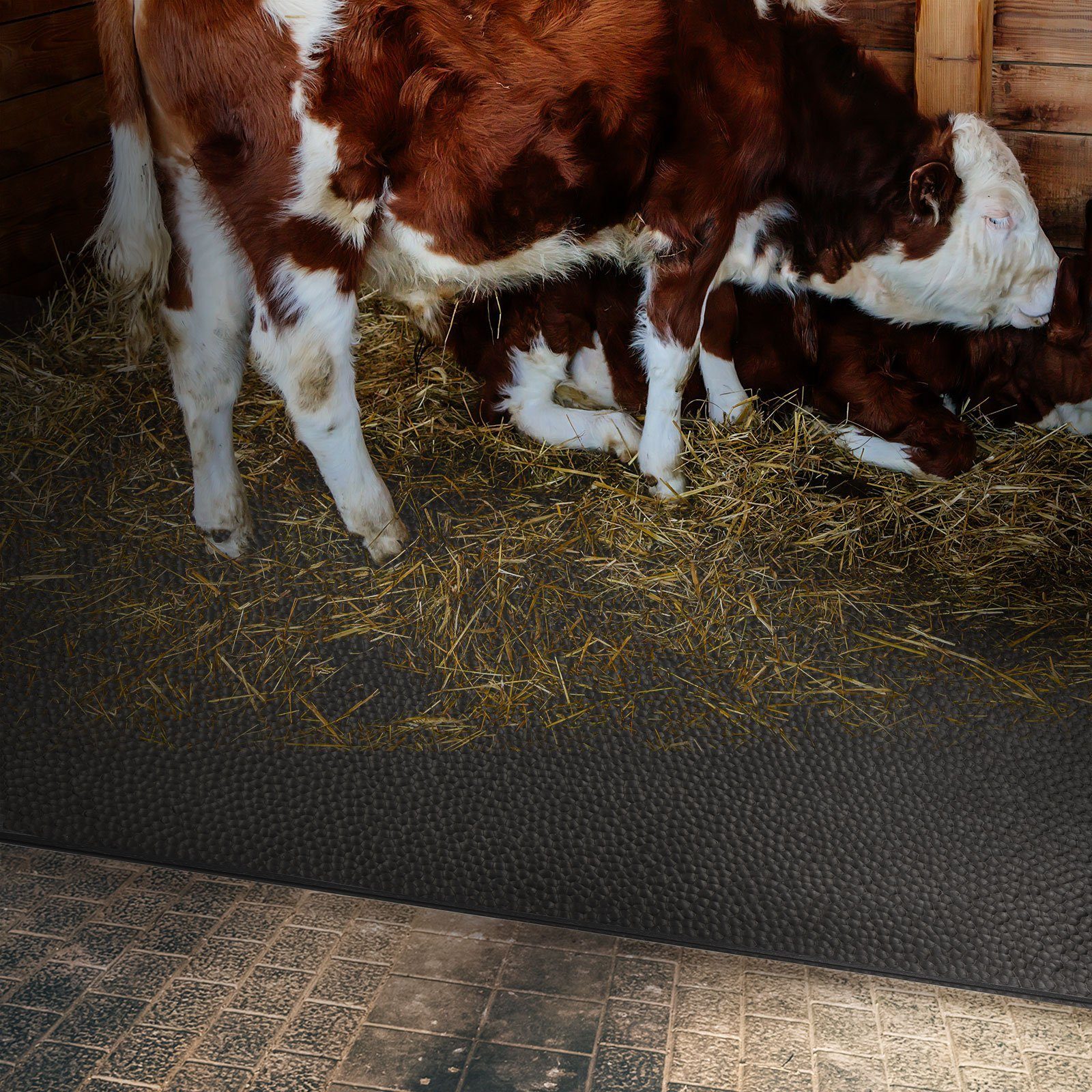 Stallmatte "Cow 4,5 mm, Bodenschutzmatte Matress", 9 Bed Stärke: GW4005, Größen Floordirekt
