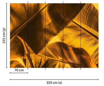 living walls Fototapete Designwalls Broken Leaf 2, glatt, (5 St), Vlies, Wand, Schräge, Decke