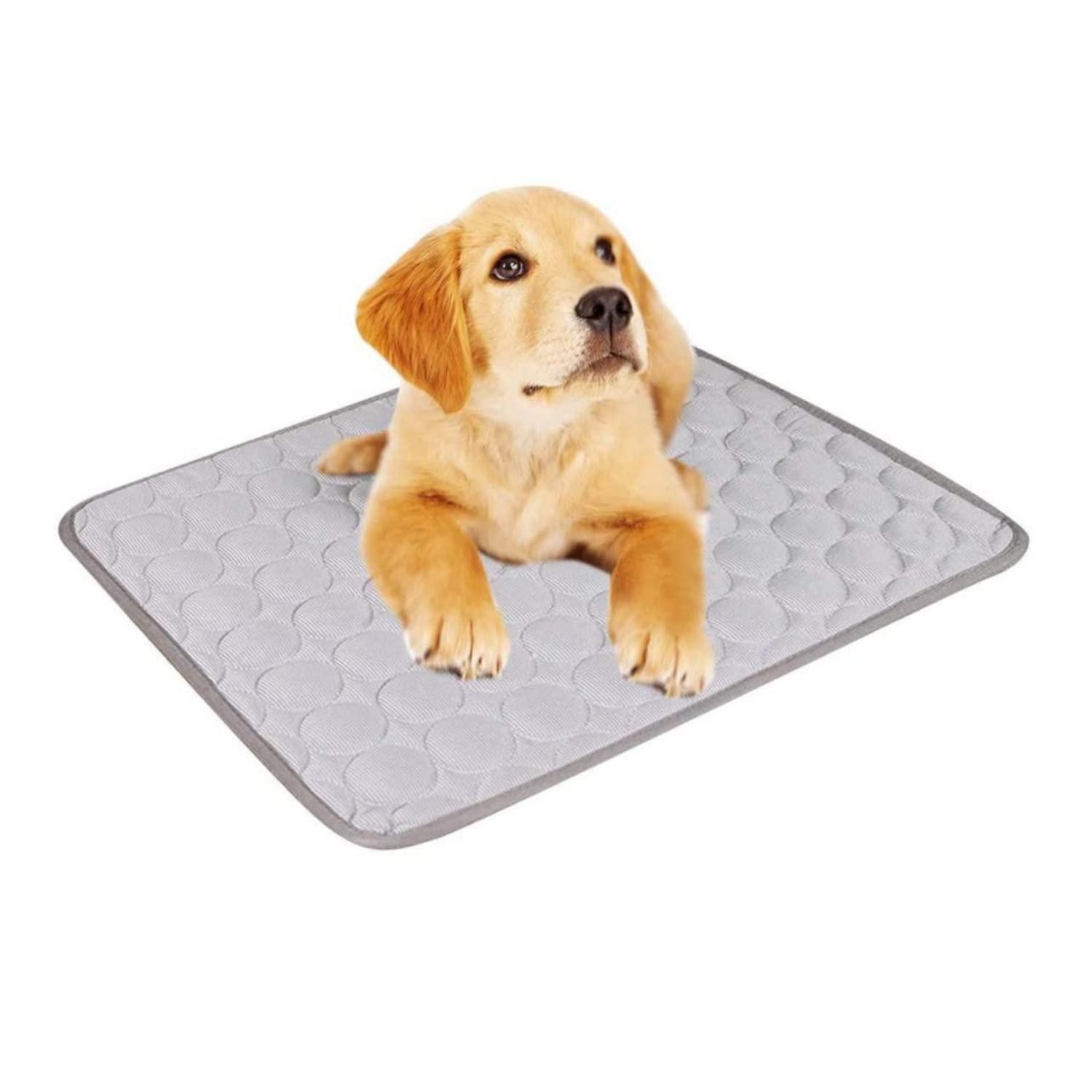 LuxusKollektion Tiermatratze Kühlmatte Haustier S 40x40cm wasserdicht kratzfest