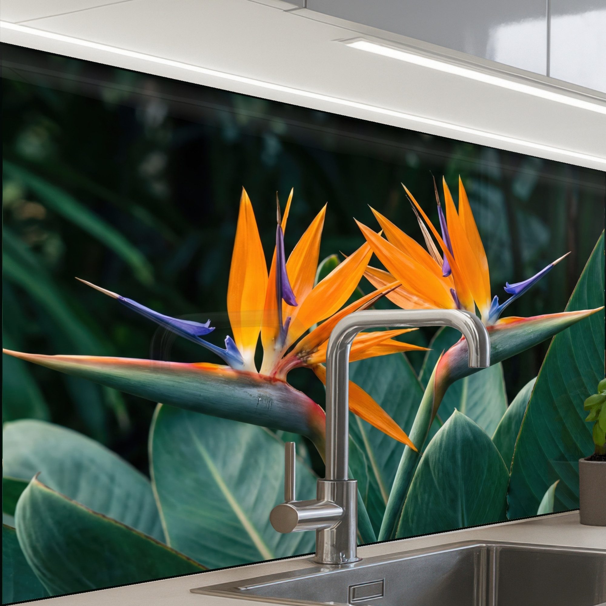KitchenYeah Küchenrückwand Muster selbstklebend (keine Folie) Paradiesvogel - Blume - Exotisch, (1-tlg), Spritzschutz, Küche, Rückwand, Küchenwand, Küchenfront, 30x20 cm