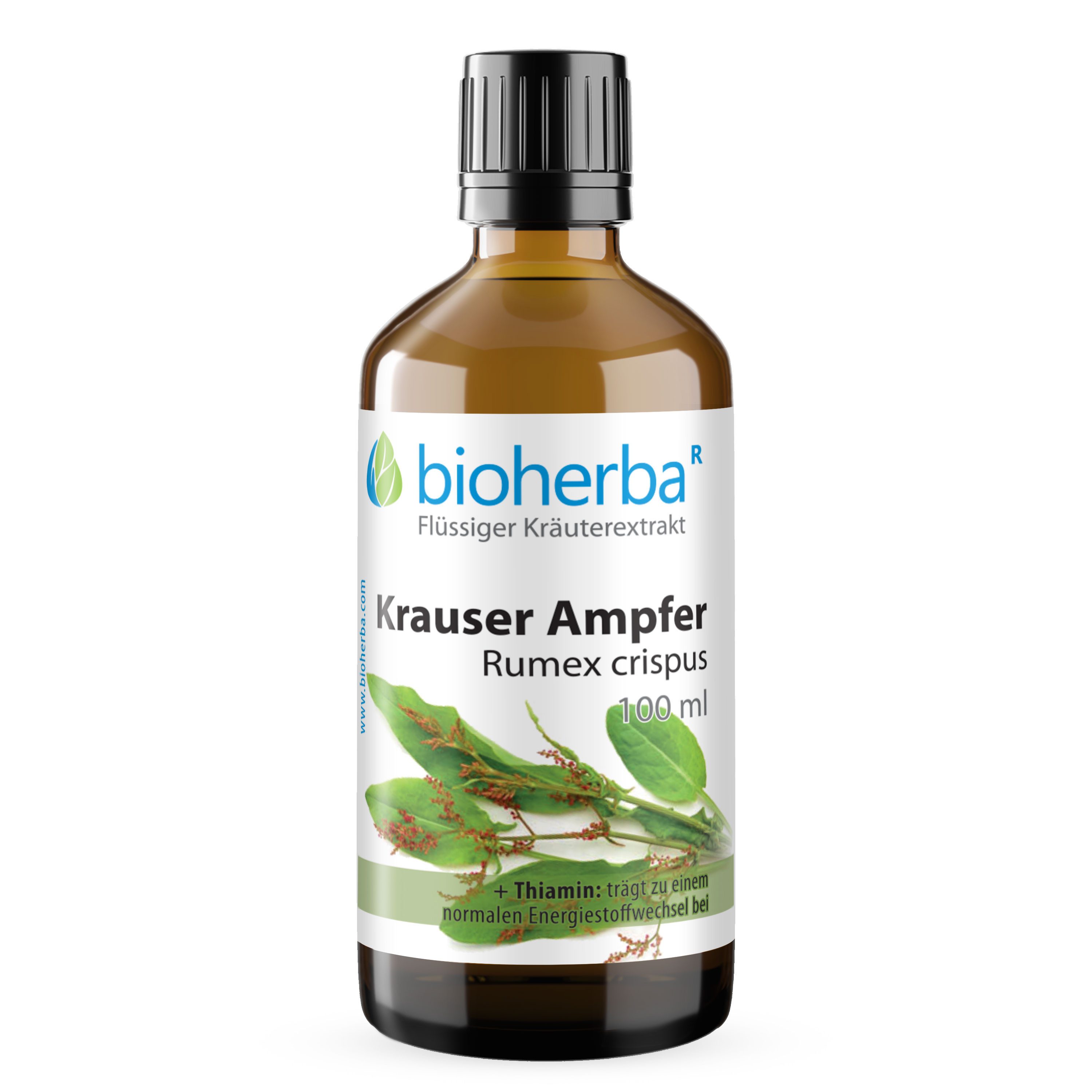 BIOHERBA R Bioherba Krauser Ampfer Rumex crispus Tropfen Tinktur 100 ml Glasflasche, 1 er