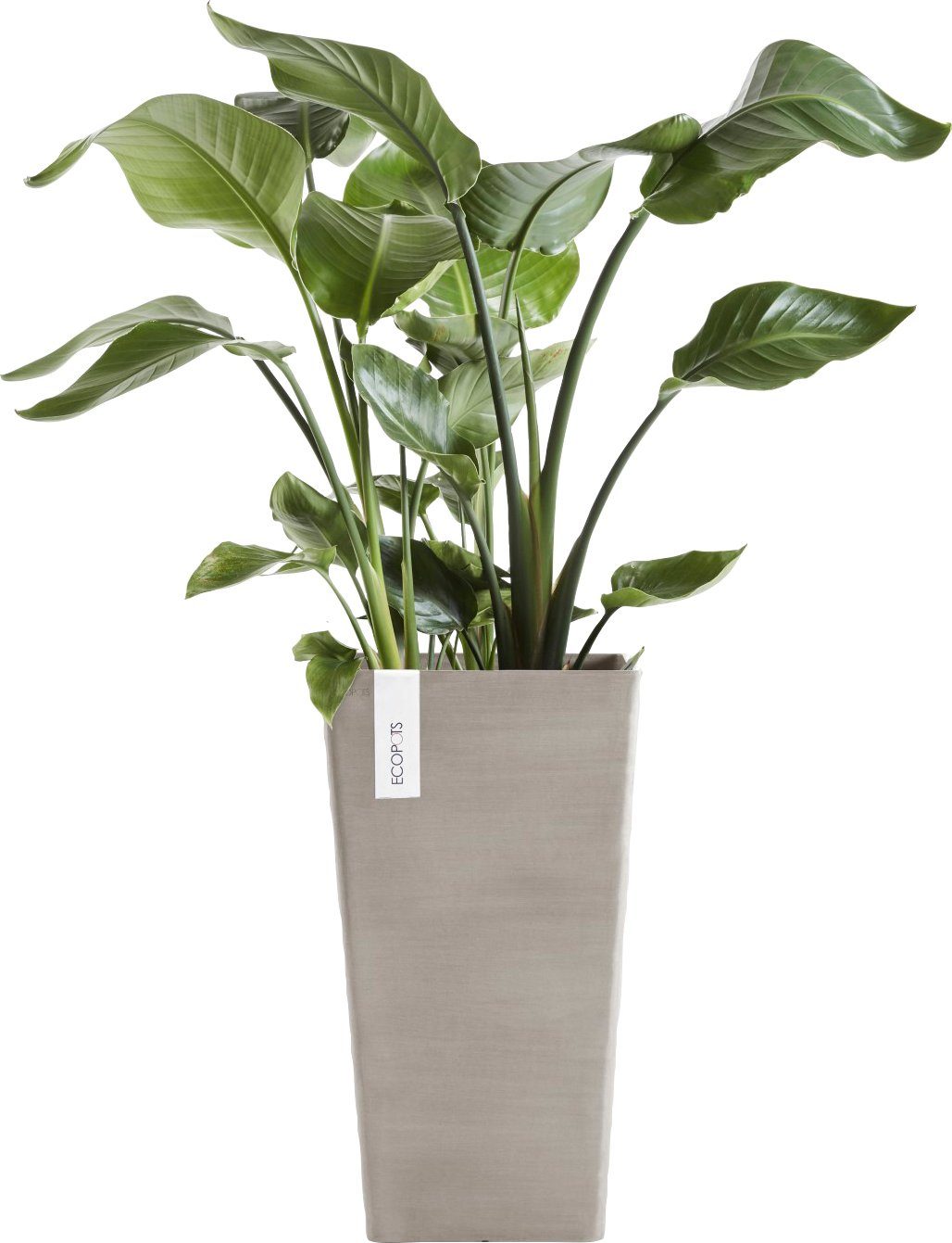 Taupe, 31x31x56 ECOPOTS ROTTERDAM HIGH BxTxH: Blumentopf cm MID