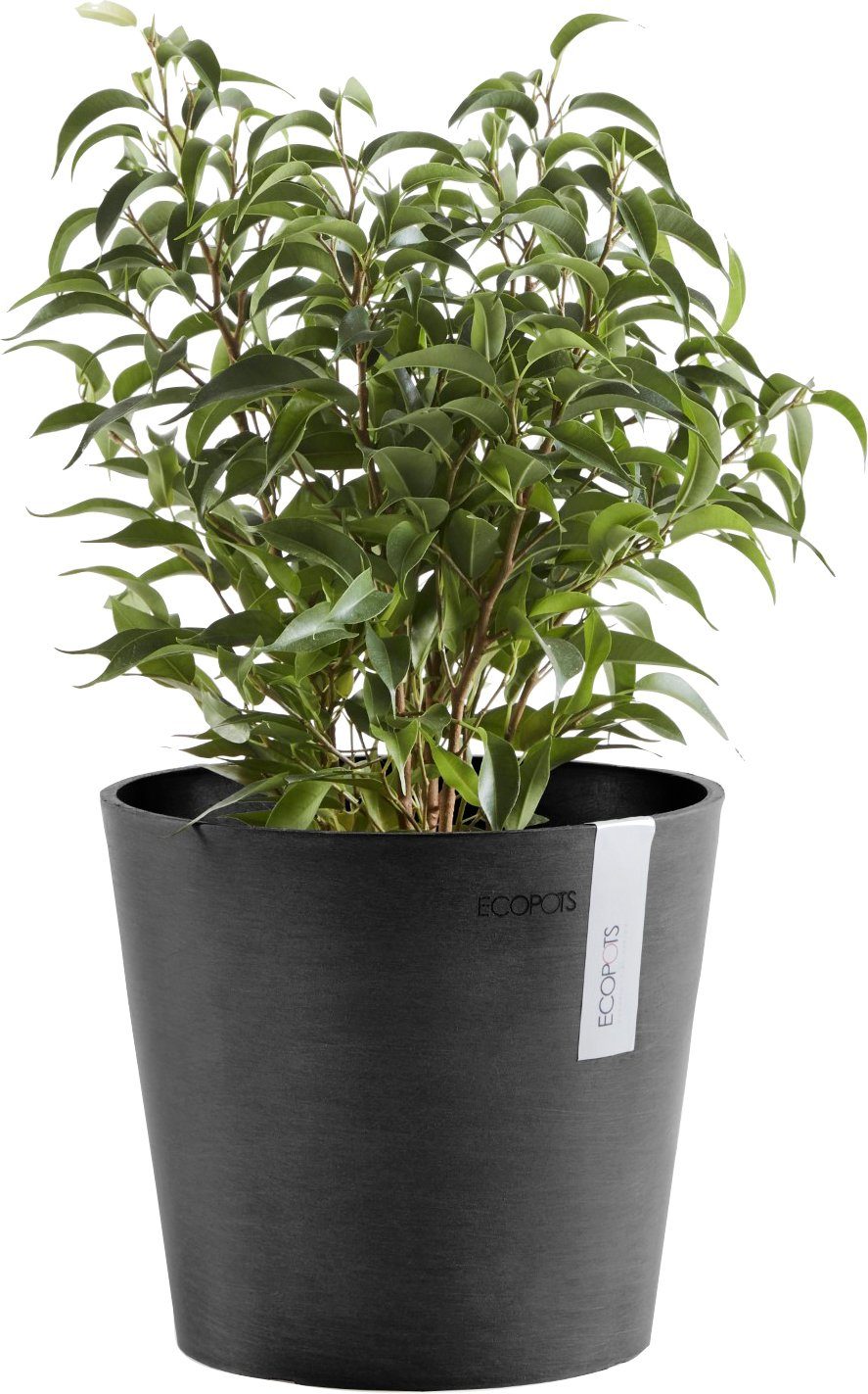 cm BxTxH: AMSTERDAM Blumentopf Mini Dark ECOPOTS Grey, 17x17x14,9