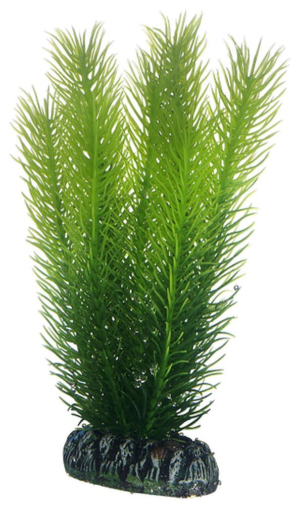 Aquariendeko Hobby Mayaca Fluss-Mooskraut künstl. Pflanze 16 cm