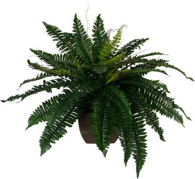 Kunstpflanze, Creativ green, Höhe 55 cm