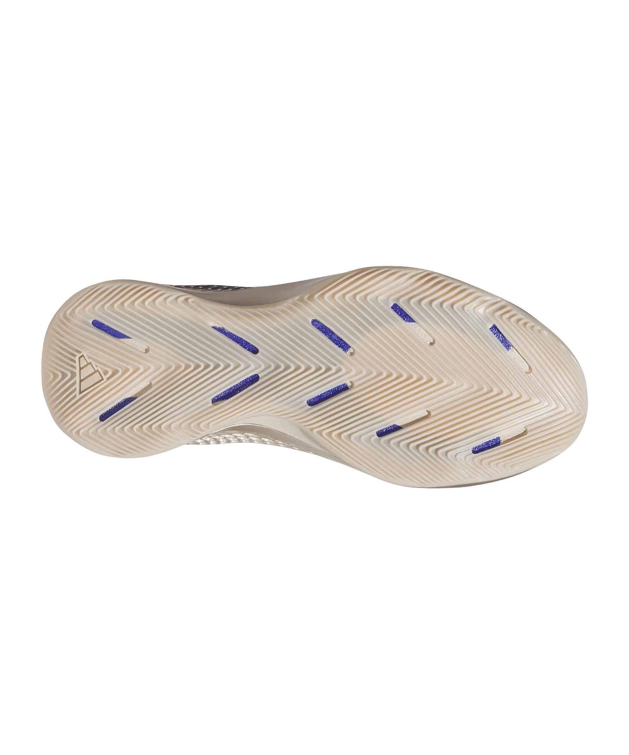 adidas Performance adidas Performance Hallenschuh