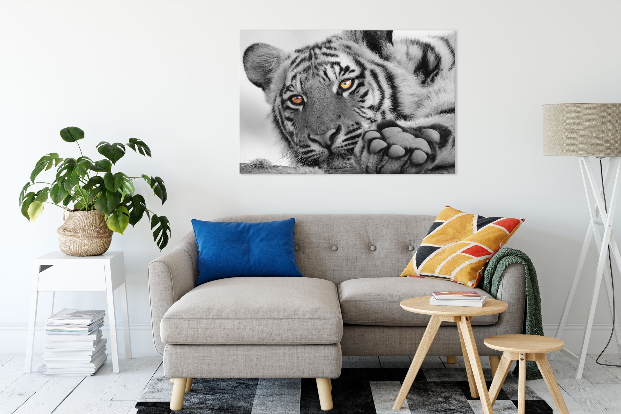 entspannter Pixxprint inkl. Zackenaufhänger Tiger (1 Leinwandbild Tiger, fertig bespannt, entspannter St), Leinwandbild