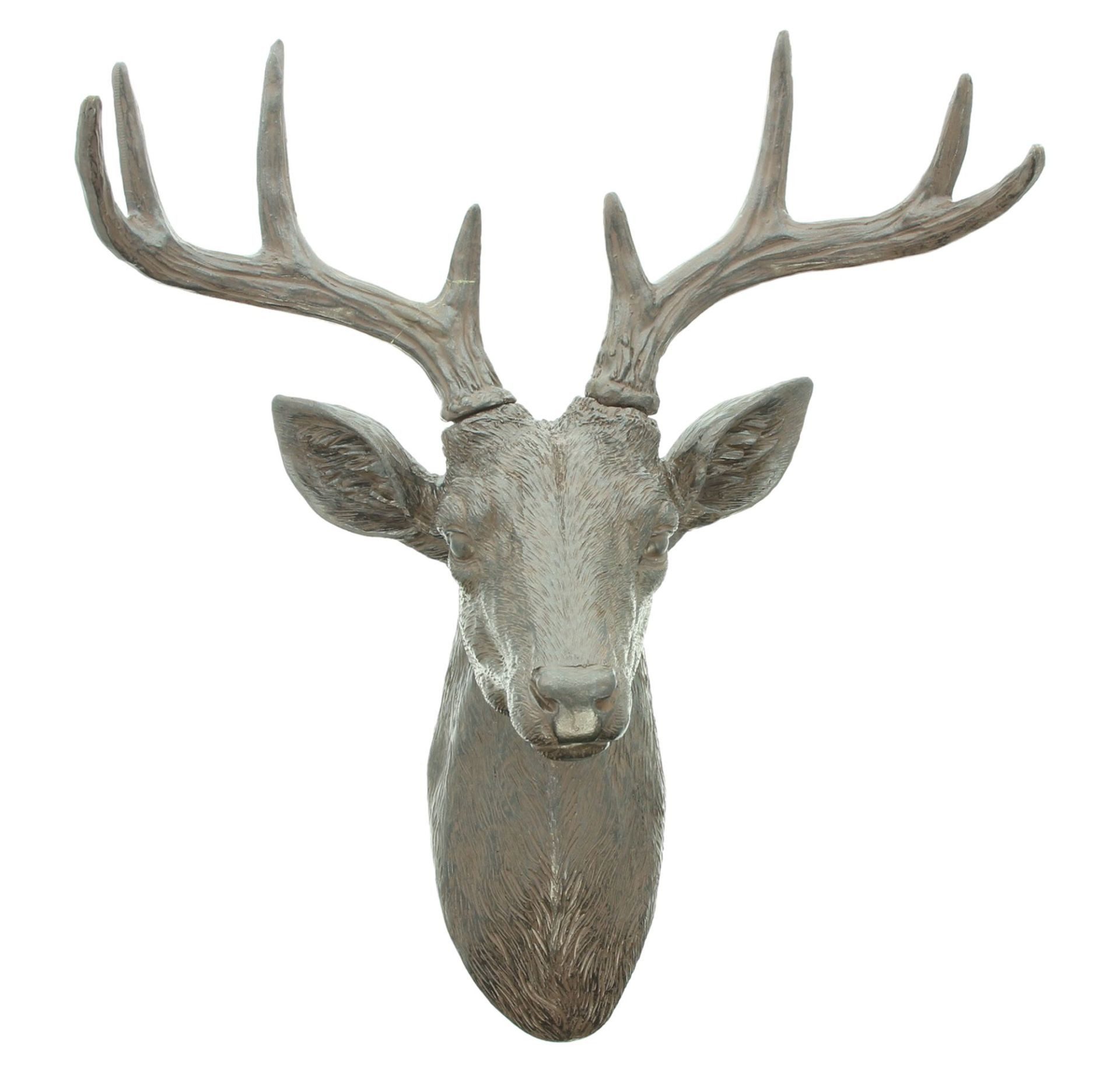 Dekoleidenschaft Wanddekoobjekt "Hirschkopf" Wanddeko aus Polyresin braun, Hirschgeweih, 42x51 cm groß, 8 Ender Wand Deko