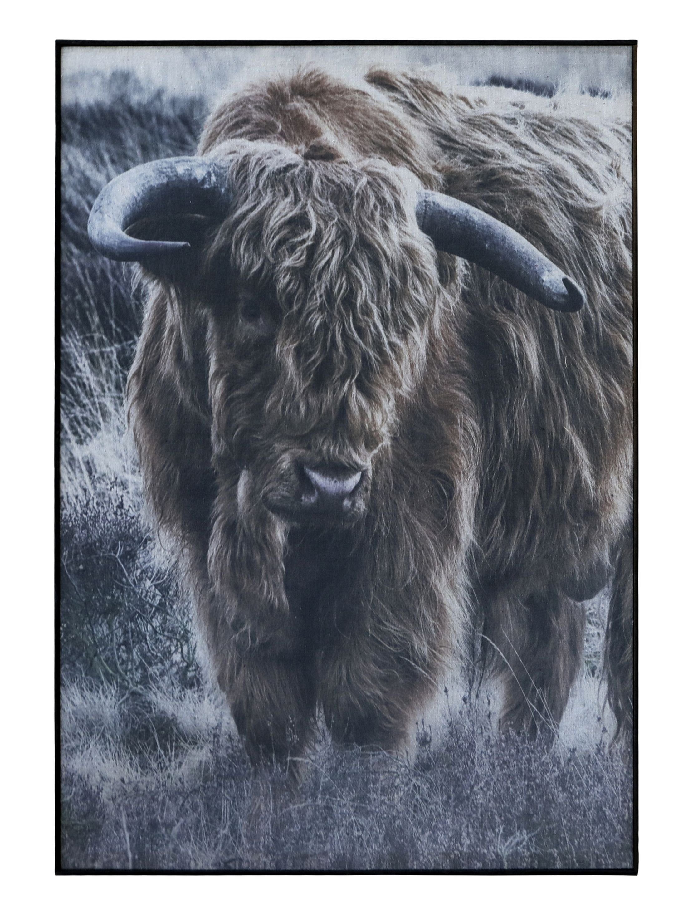 Chic Antique Wandbild Wandbild Bild Bison Leinwand Rahmen Holz Schwarz H53xL77cm Chic
