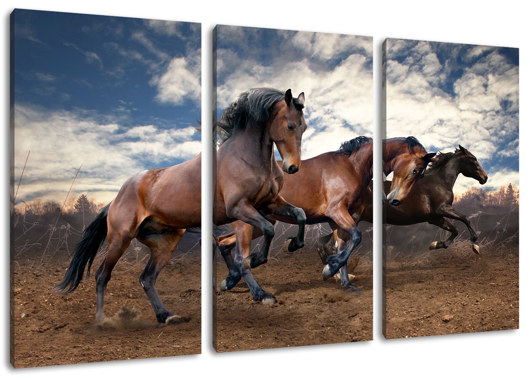 Pixxprint Leinwandbild Wilde freie Pferde, Wilde freie Pferde 3Teiler (120x80cm) (1 St), Leinwandbild fertig bespannt, inkl. Zackenaufhänger