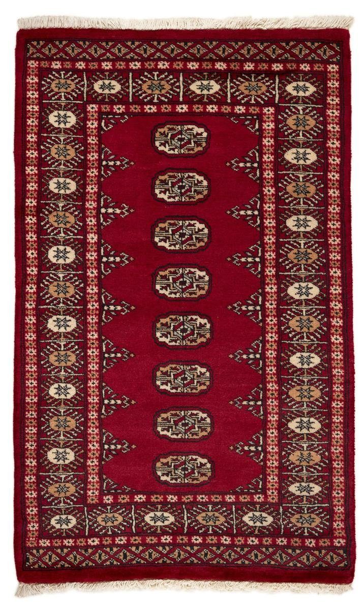 Orientteppich Pakistan Buchara 3ply 78x126 Handgeknüpfter Orientteppich, Nain Trading, rechteckig, Höhe: 8 mm