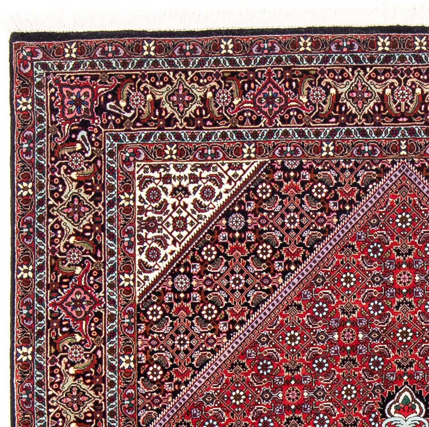 Orientteppich Perser - Bidjar - 250 morgenland, 15 Wohnzimmer, mit cm - 149 Handgeknüpft, rechteckig, Einzelstück x Zertifikat rot, Höhe: mm