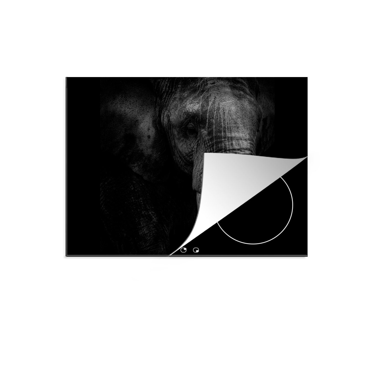 MuchoWow Herdblende-/Abdeckplatte Elefant Induktionskochfeld cm, für tlg), Tier - küche, die Ceranfeldabdeckung 71x52 - Vinyl, (1 Porträt, Schutz