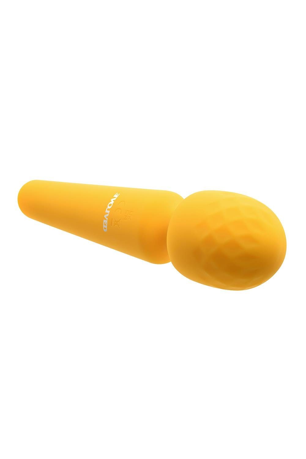 Sunshine Wand Evolved Massager Evolved