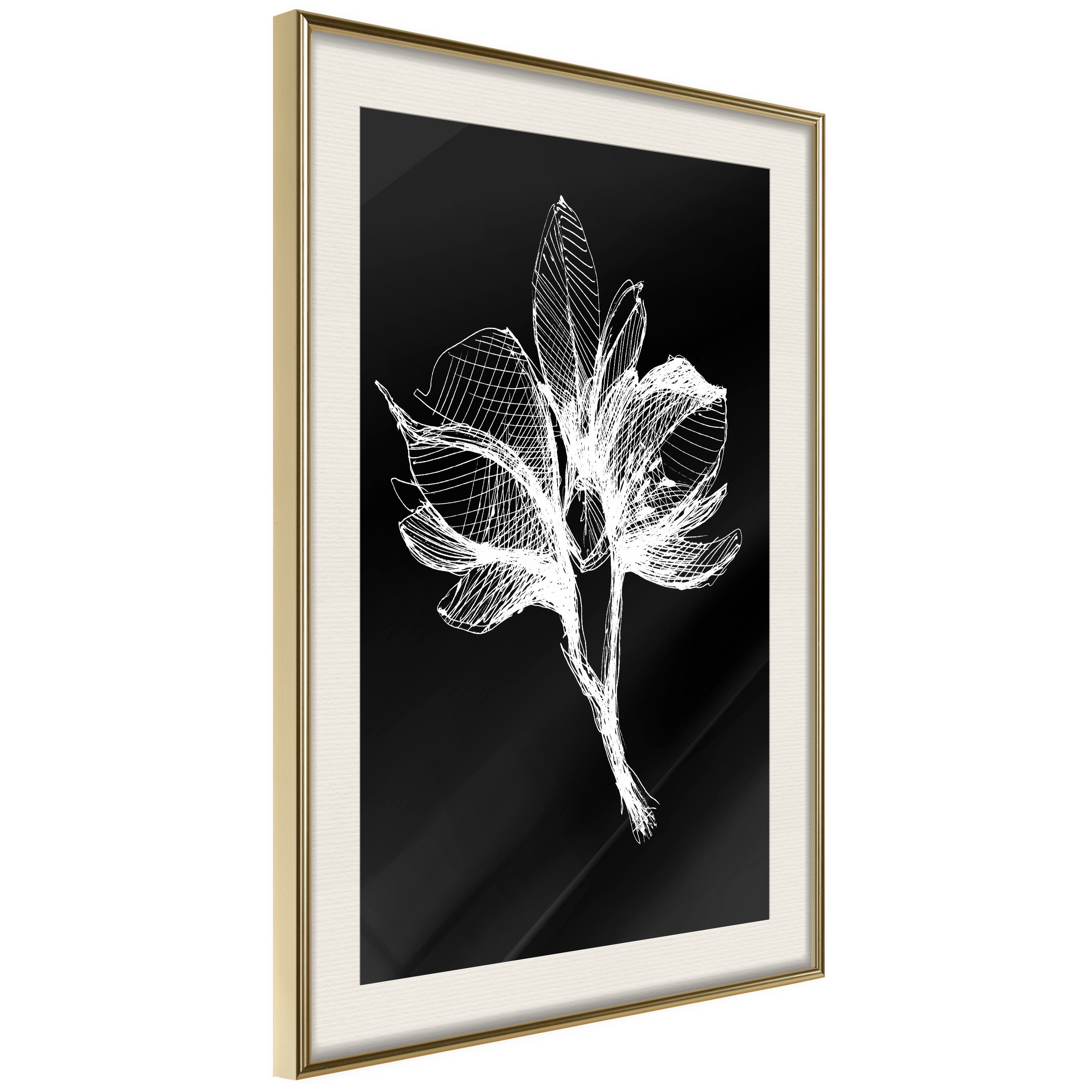 Artgeist Poster Night Flower []
