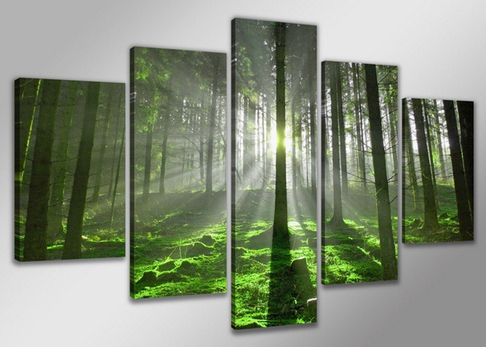 Visario Bild mit Rahmen 2 m x 1 m 5er Set Visario auf Leinwand fertig zum Aufhängen/gerahmt, Wald