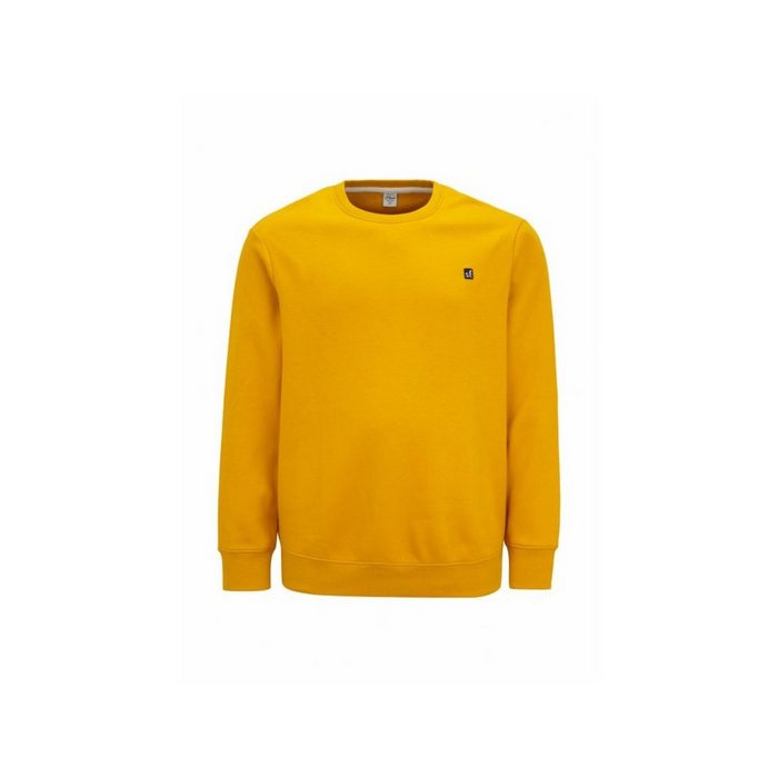 s.Oliver Sweatshirt gelb regular fit (1-tlg)