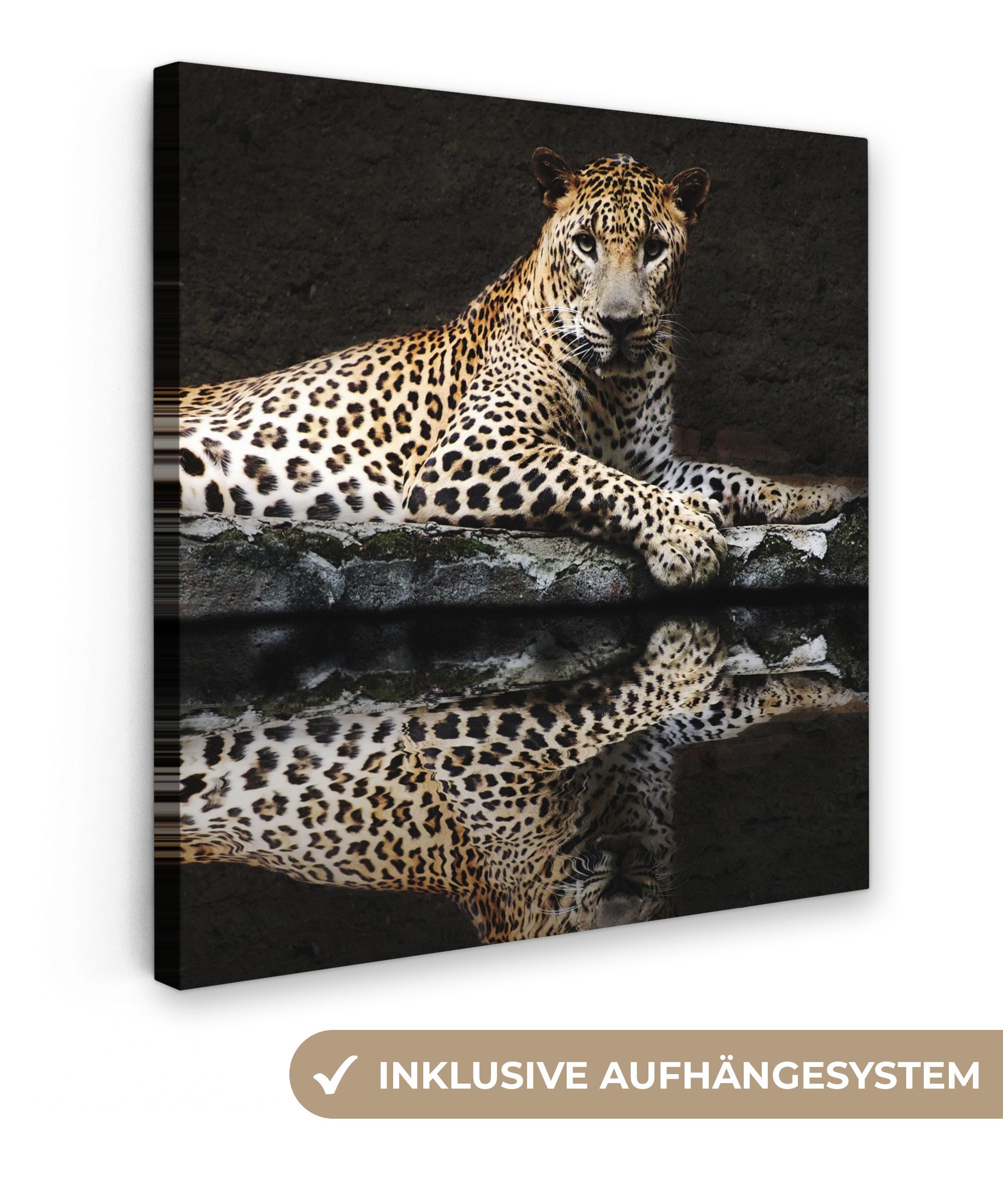 OneMillionCanvasses® Leinwandbild Leopard - Wasser - günstig online kaufen