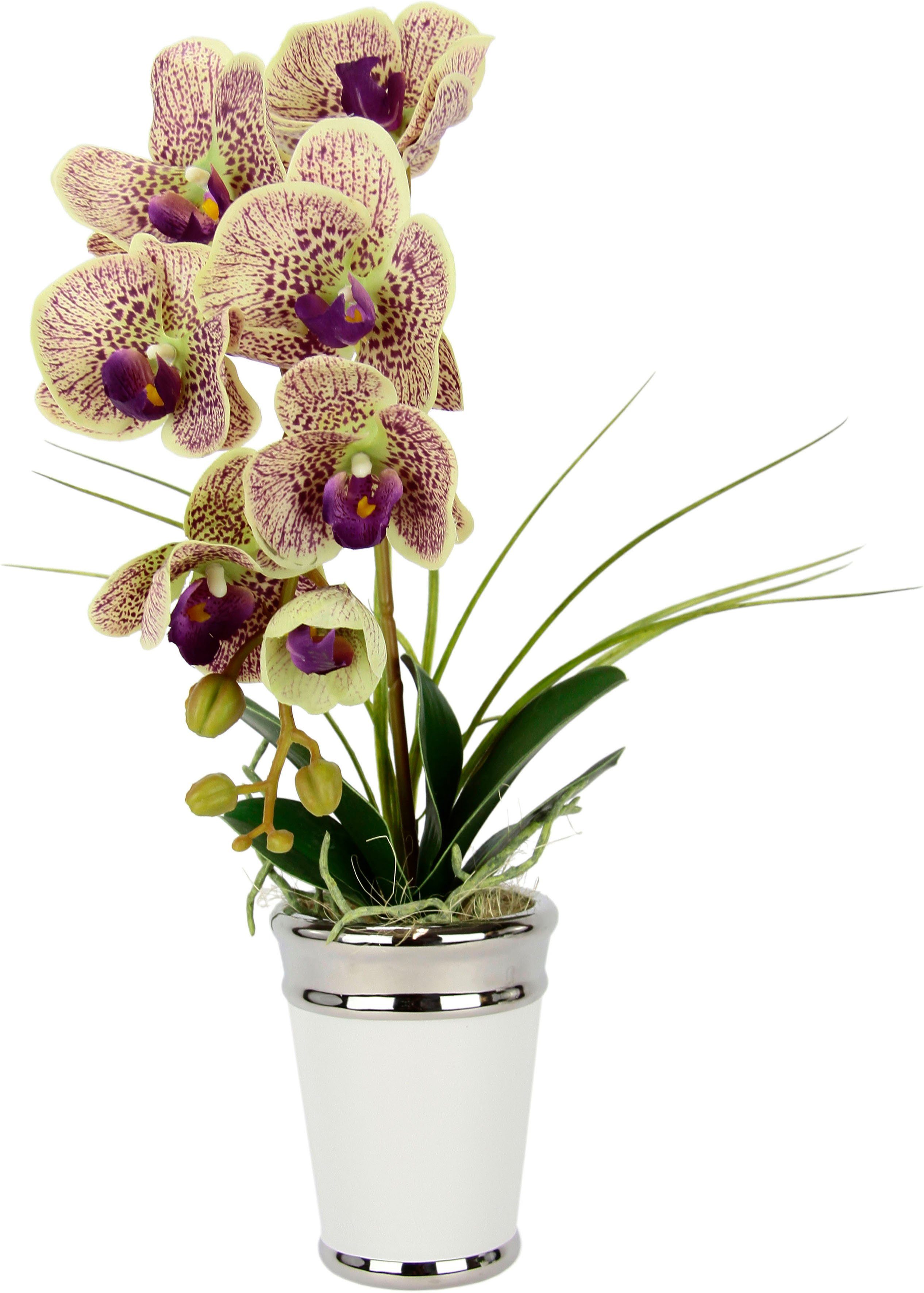Real I.GE.A., Orchidee, aus Touch Keramik, Höhe cm, mauve Topf, Kunstblume im Seidenblume 52