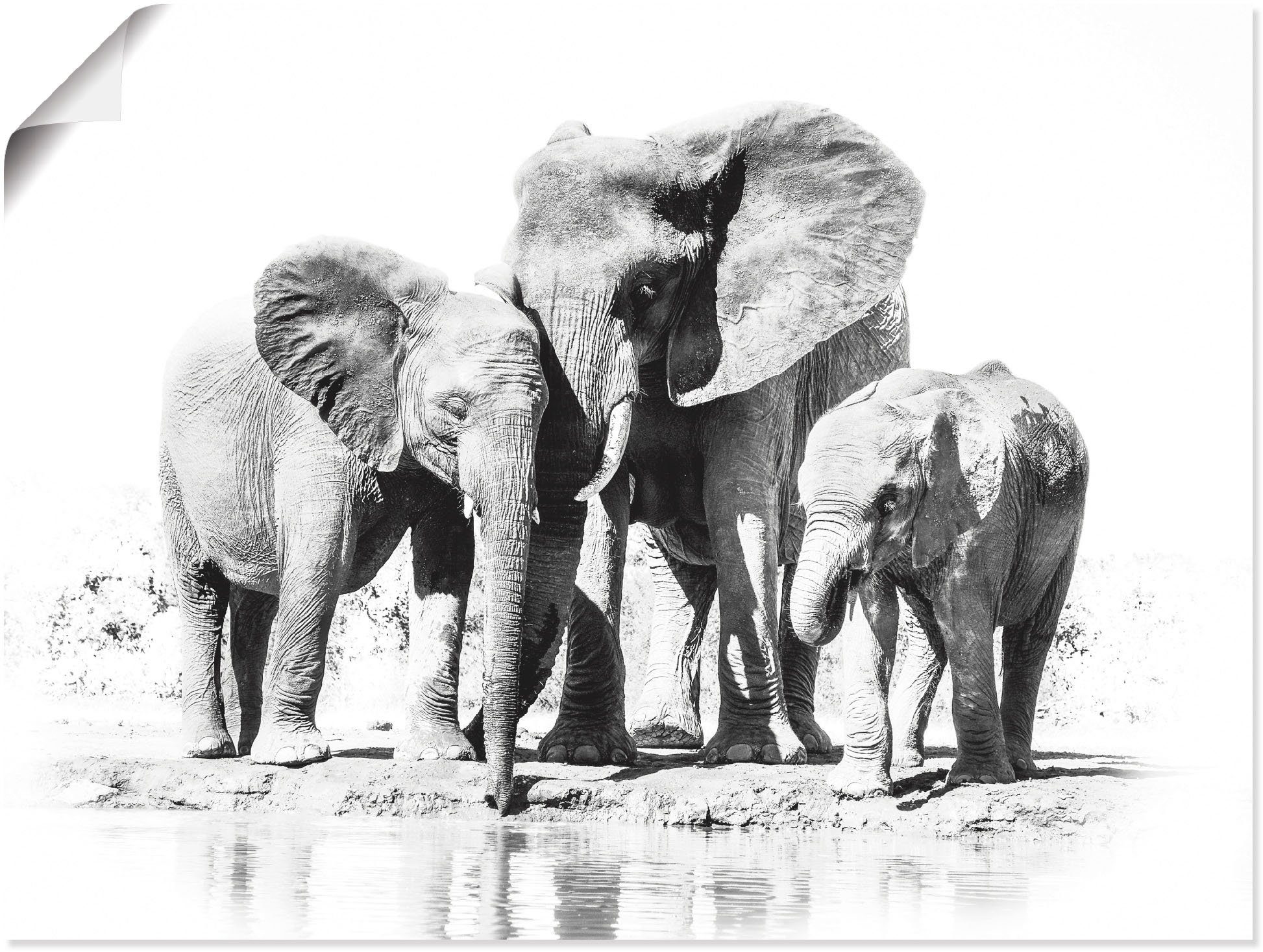 Elefanten mit Leinwandbild, Alubild, in versch. Wandaufkleber als Wandbild Artland St), Kindern, (1 oder Größen Poster Bilder Elefantenmutter