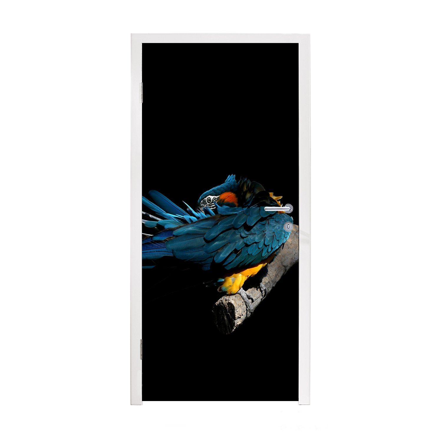 MuchoWow Türtapete Vogel - Federn - Zweig - Schwarz, Matt, bedruckt, (1 St), Fototapete für Tür, Türaufkleber, 75x205 cm