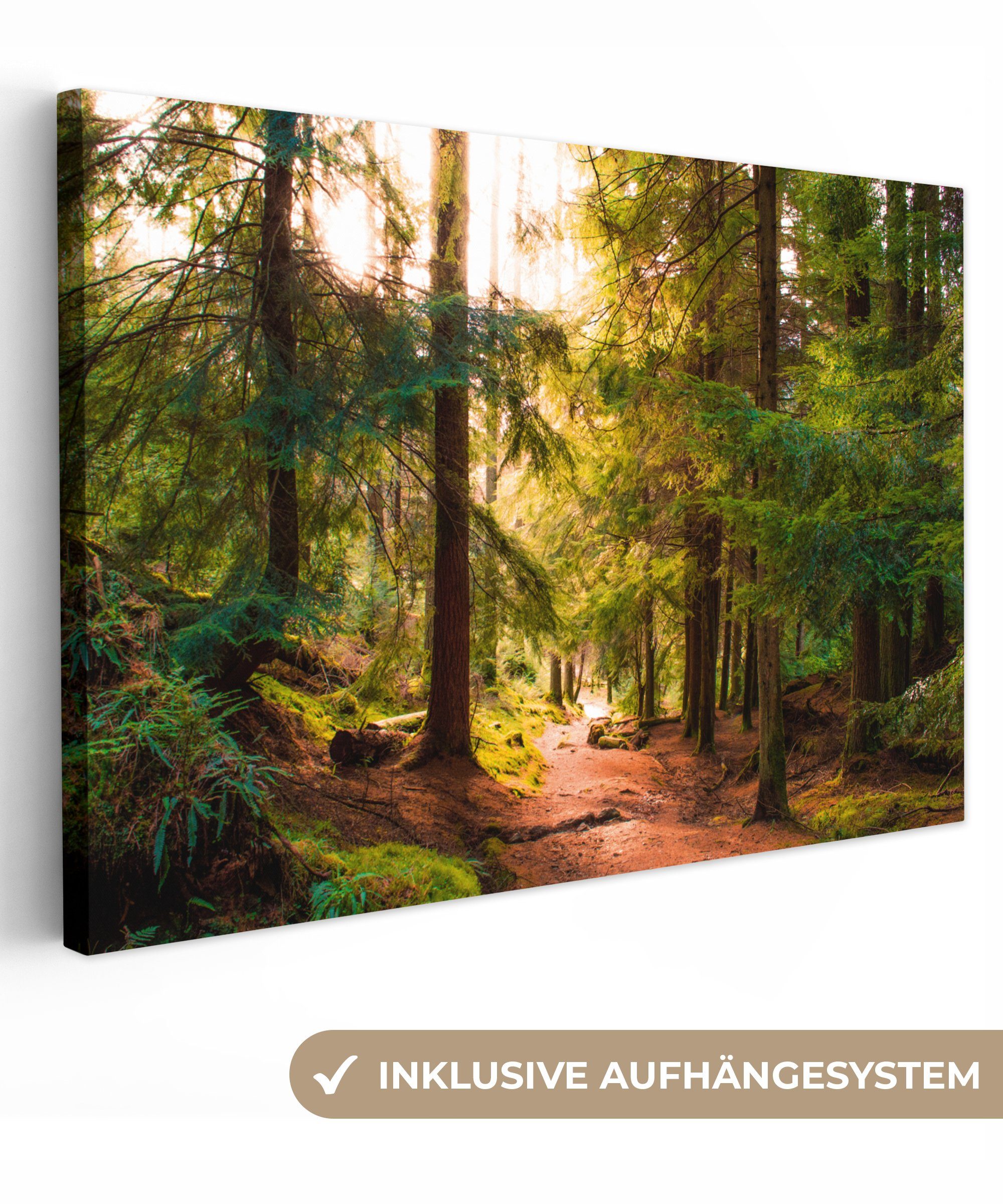 OneMillionCanvasses® Leinwandbild Wald - Weg - Bäume - Grün - Sonne - Natur günstig online kaufen