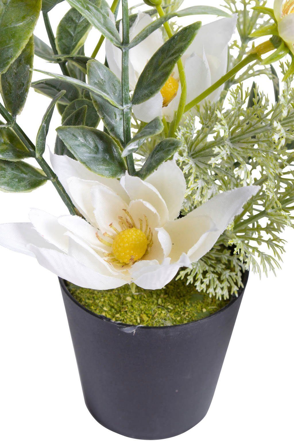 Zimmerpflanze Höhe Kunststofftopf, 18 cm im schwarzen Christrosen-Arrangement Künstliche Botanic-Haus,