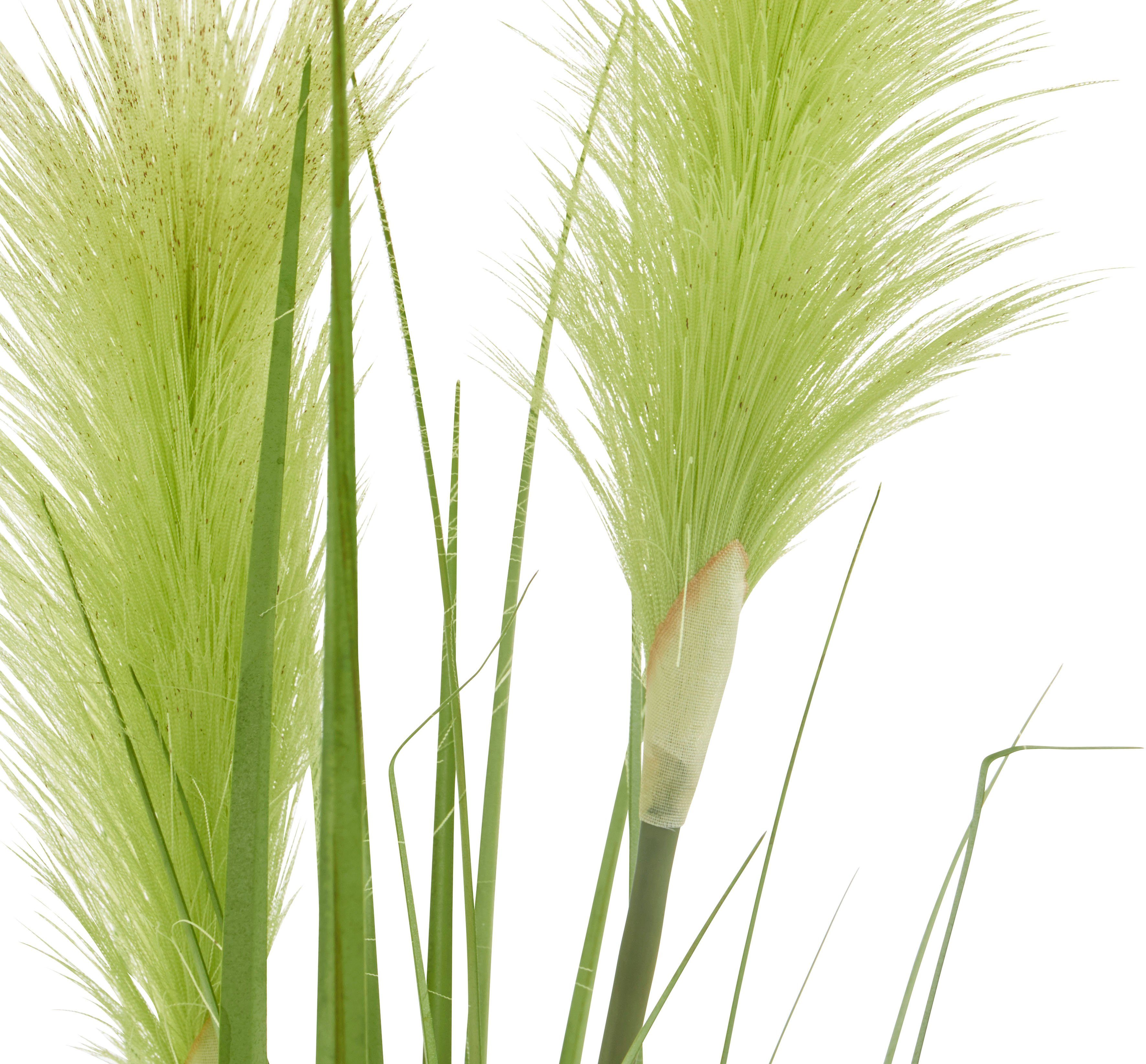 Kunstpflanze »Stretton« Pampasgras, Home affaire, Höhe 87 cm, Gras-kaufen
