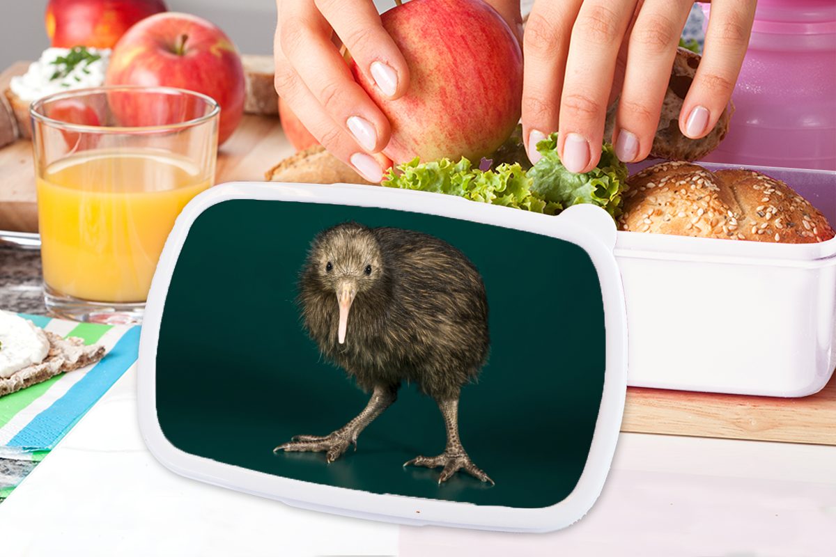 und MuchoWow Kiwi Kunststoff, weiß Lunchbox Mädchen und Jungs (2-tlg), für - für Vogel Brotbox Brotdose, Kinder Grün, Erwachsene, -