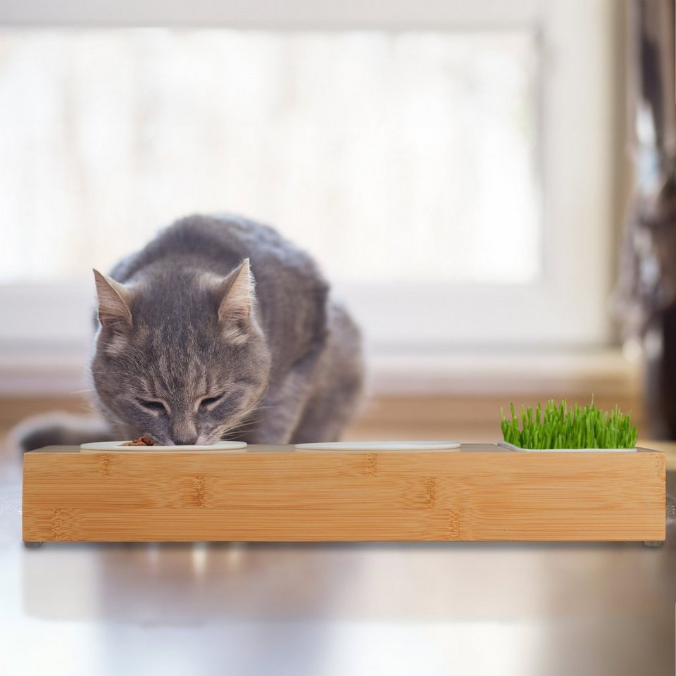 Thumbnail - relaxdays Futterstation Katzen Futterstation & Katzengras Schale