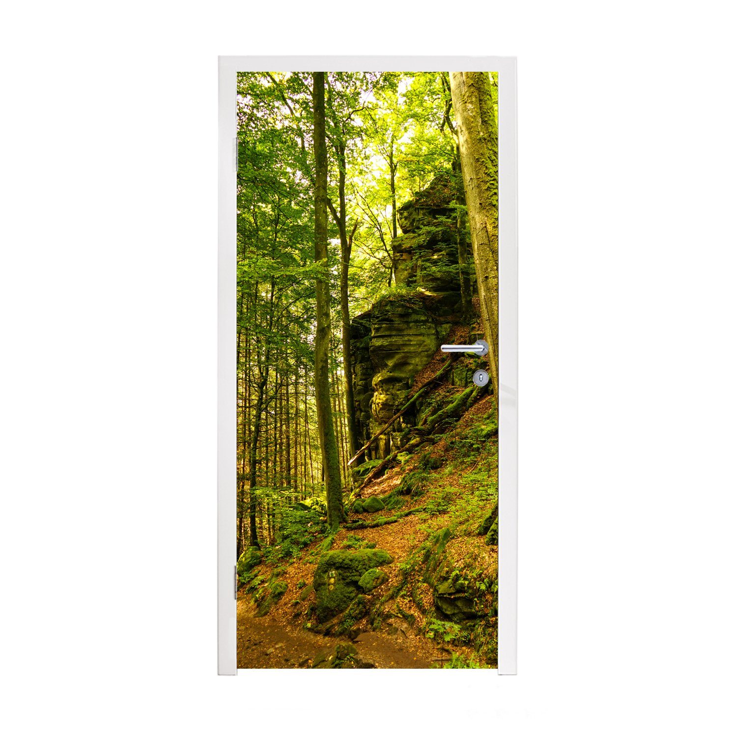 MuchoWow Türtapete Bäume - Stein - Wald - Natur - Pflanzen, Matt, bedruckt, (1 St), Fototapete für Tür, Türaufkleber, 75x205 cm