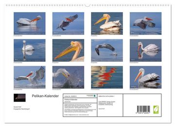 CALVENDO Wandkalender Pelikan-Kalender (Premium, hochwertiger DIN A2 Wandkalender 2023, Kunstdruck in Hochglanz)