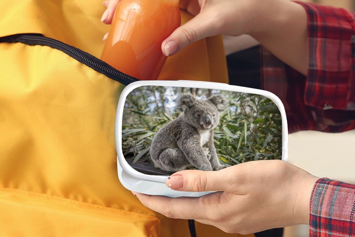 MuchoWow Lunchbox Koala Mädchen Brotbox - für Kinder Pflanzen weiß - Kinder Brotdose, für und Erwachsene, - - (2-tlg), und Kunststoff, - Jungs Mädchen, Jungen Holz