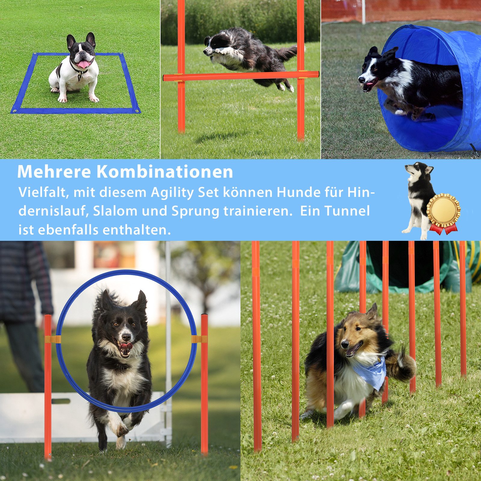 FIVMEN Agility-Hürde Trainingsset mit Hundetunnel Hindernisse Springring Trainingshilfe, Fur für Hunde interessante Spiele Pausenfeld Haustier Trainingshilfe