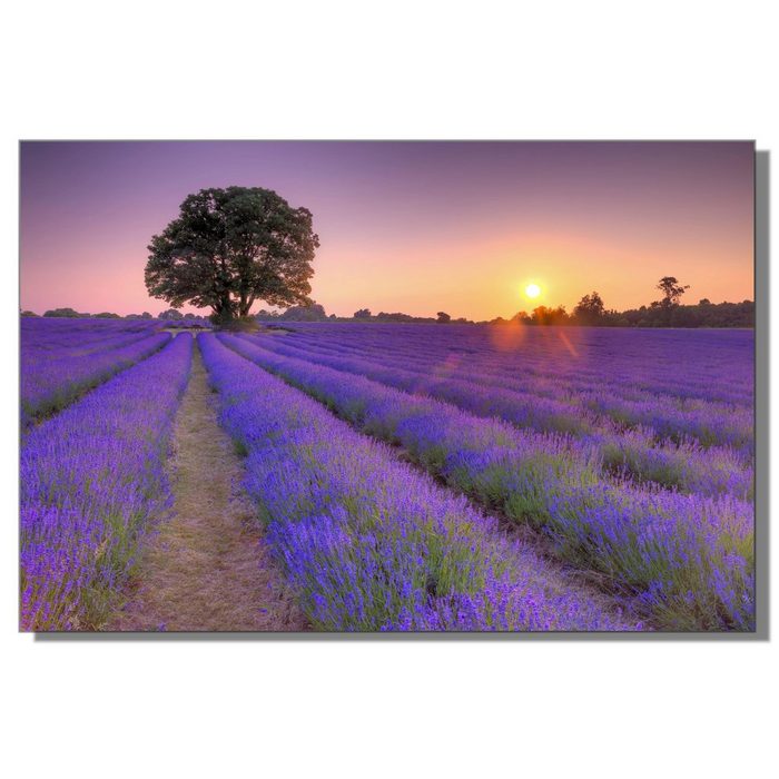 Victor (Zenith) Acrylglasbild Lavendelmeer in der Provence Landschaften in 30x45 cm Glasbilder Blumen Acrylglasbilder Wohnzimmer