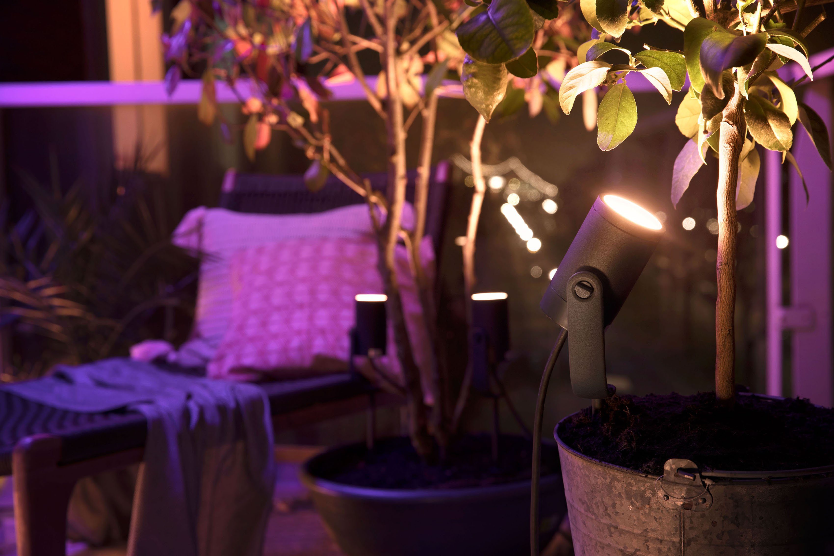 LED Netzteil Smart LED Base-Kit Farbsteuerung, Philips Tageslichtweiß, mehrere Lily, fest - integriert, Home, Helligkeitsstufen, einstellbar, Neutralweiß, Hue Leuchtdauer Warmweiß, Kaltweiß, Dimmfunktion, mit Gartenstrahler Farbwechsel,