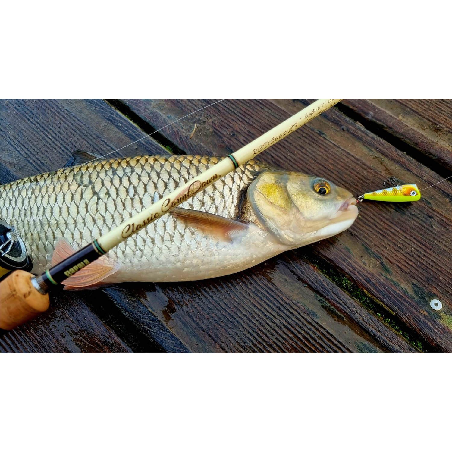 Rapala Kunstköder Rapala X-Light Pop Popper Wobbler 4cm Oberflächenköder Barsch Rapfen, (Packung)