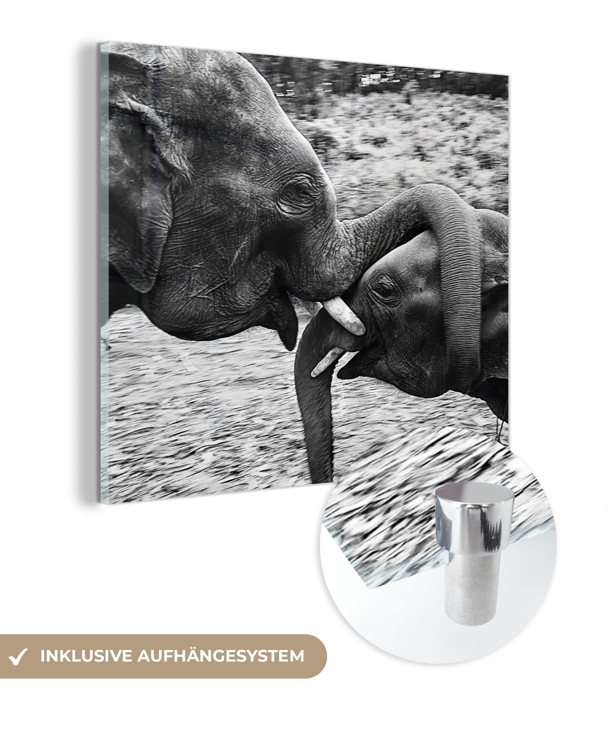 MuchoWow Acrylglasbild Elefant - Tiere - Natur - Schwarz und weiß, (1 St), Glasbilder - Bilder auf Glas Wandbild - Foto auf Glas - Wanddekoration