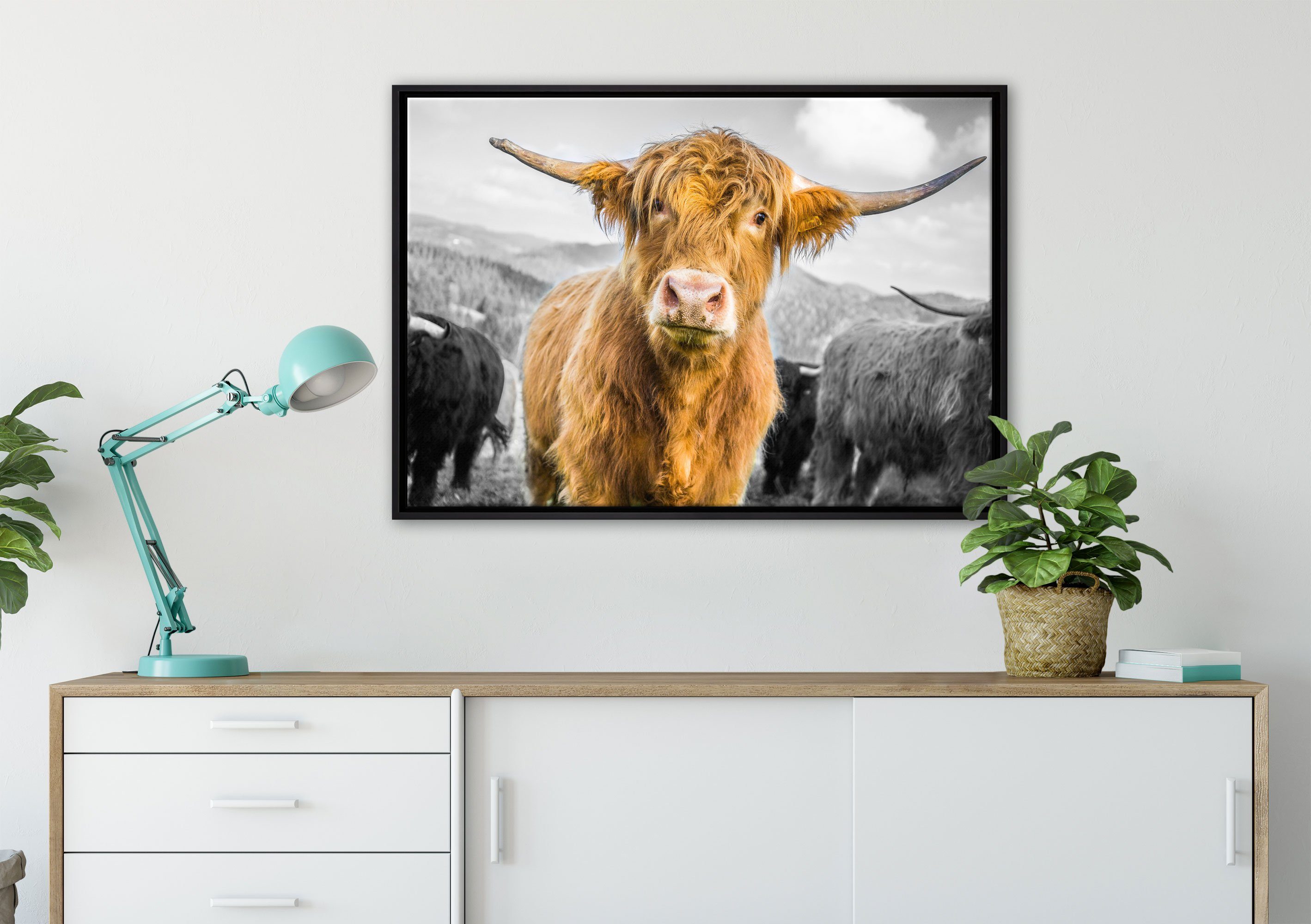 Weide, einer einem Wanddekoration an der Kuh in Zackenaufhänger Blick inkl. Leinwandbild gefasst, Pixxprint Schattenfugen-Bilderrahmen fertig (1 bespannt, St), Leinwandbild
