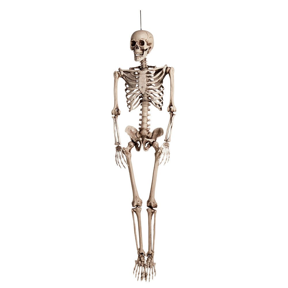 Party Factory Hängedekoration Hängedekoration Skelett 160 cm – Realistische Halloween-Deko für Haus