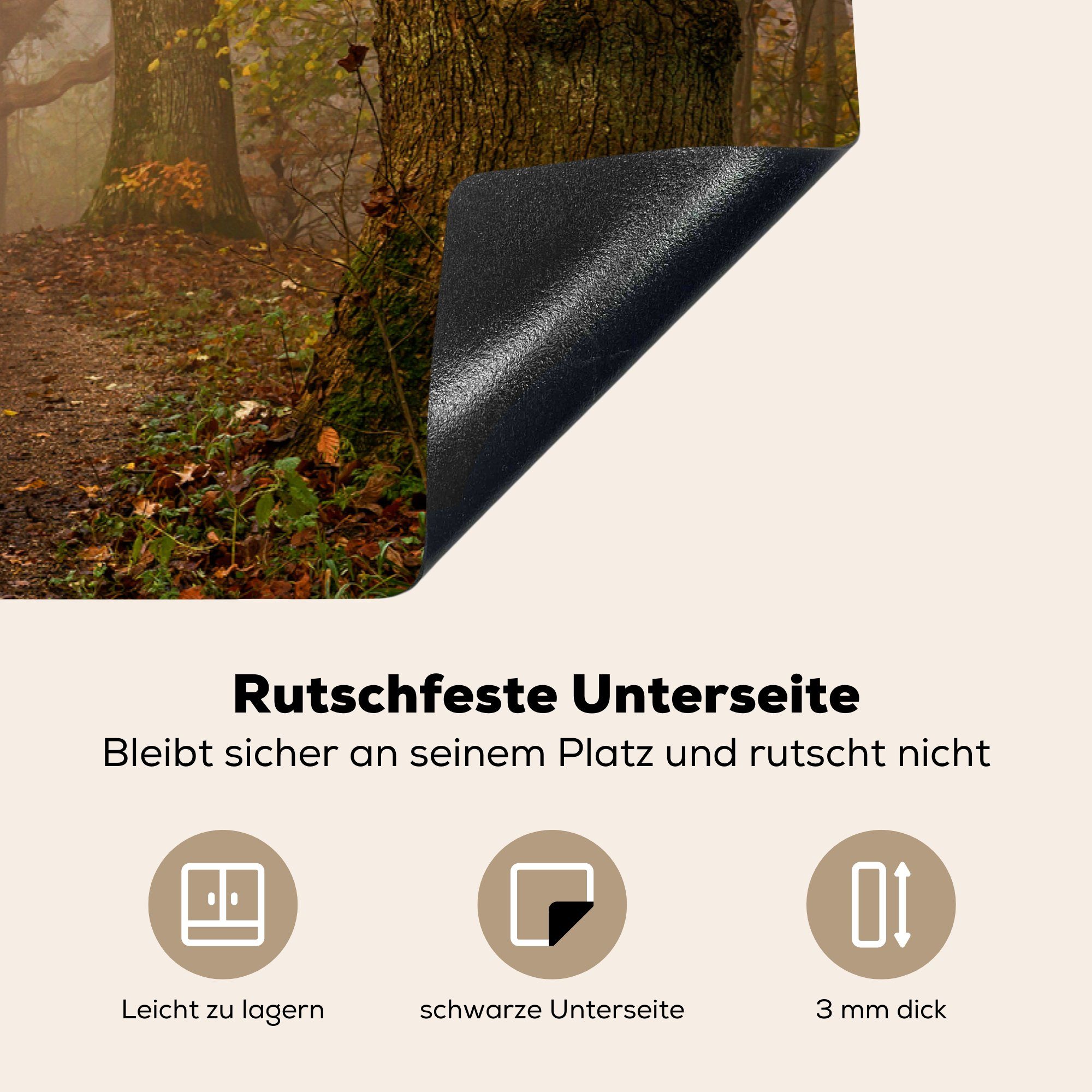 Herbst küche, für MuchoWow die Ceranfeldabdeckung tlg), Vinyl, - - Wald 81x52 - (1 Induktionskochfeld Schutz cm, Laub - Waldweg Herdblende-/Abdeckplatte Bäume,